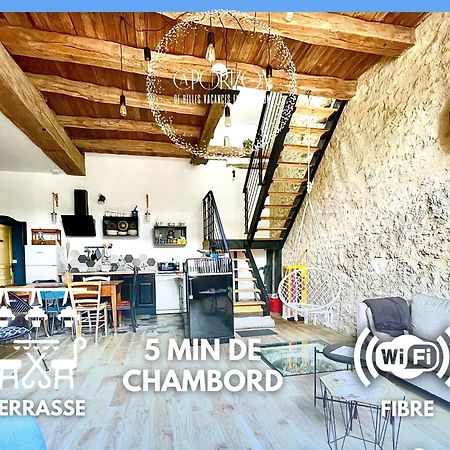 Villa CAPORIZON propose Magnifique Grange à côté de Chambord Saint-Claude-de-Diray Esterno foto